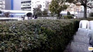 气质熟女阿姨